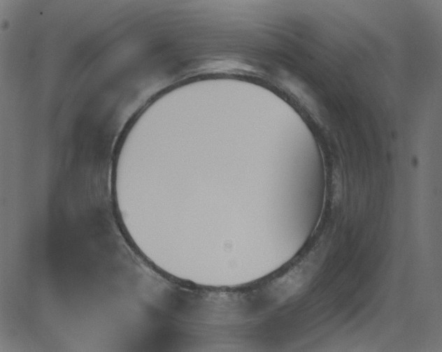 X0000082961322200702011257