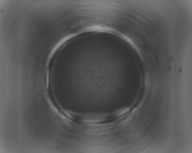 X0000082961323200702011257