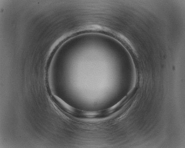 X0000082961326200702011257