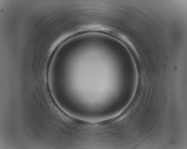 X0000082961328200702011257