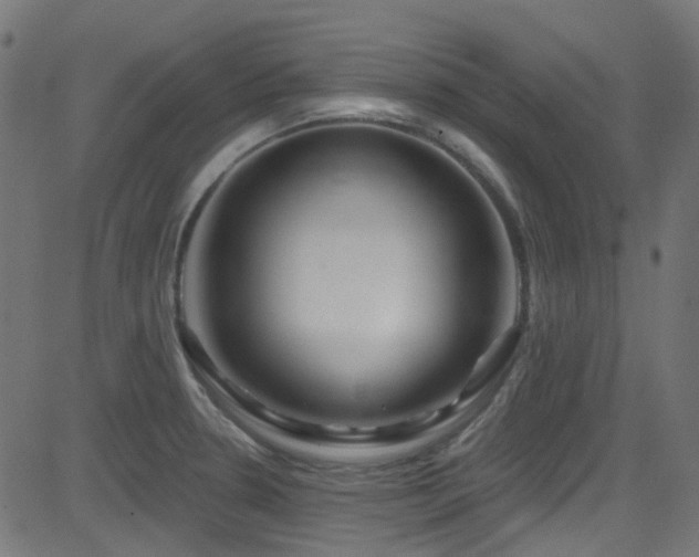 X0000082961330200702011257