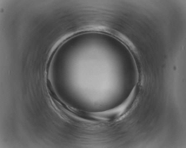 X0000082961332200702011258