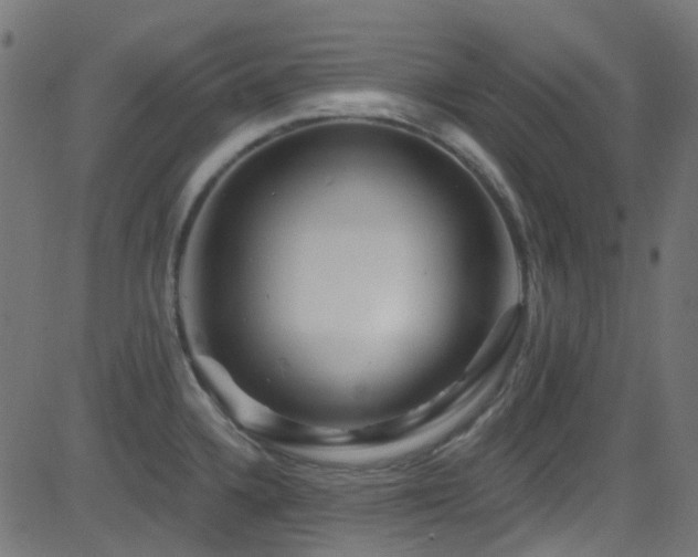 X0000082961336200702011258