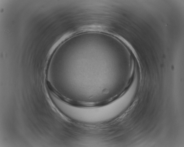 X0000082961341200702011258