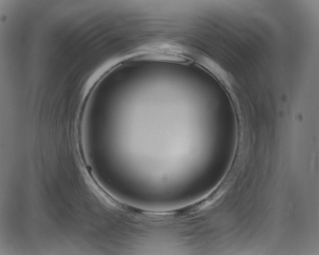 X0000082961344200702011258