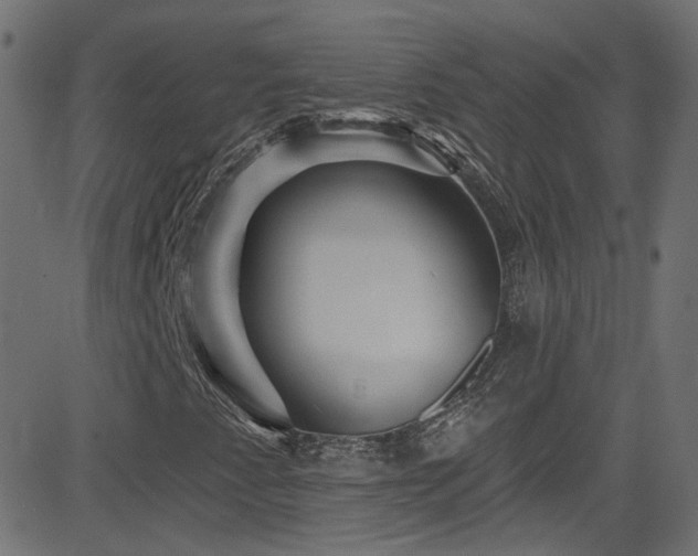 X0000082961345200702011257