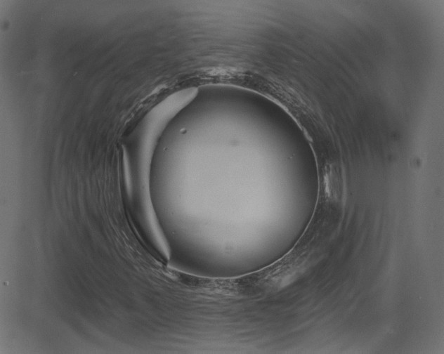 X0000082961347200702011257