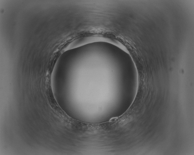 X0000082961349200702011257