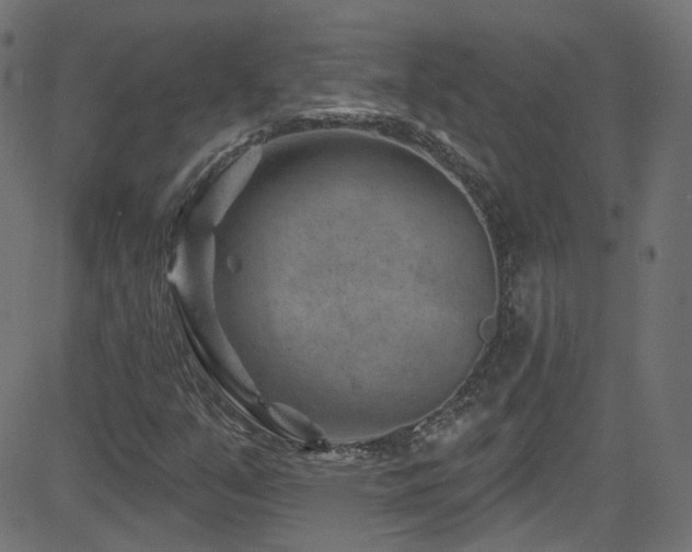 X0000082961351200702011257