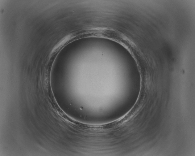 X0000082961354200702011257