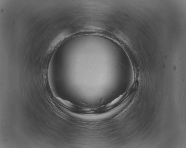 X0000082961355200702011257