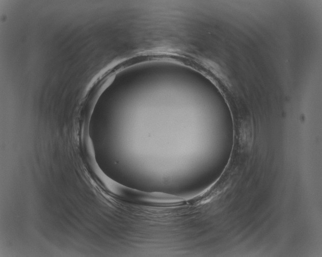 X0000082961356200702011257