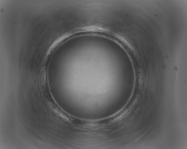 X0000082961358200702011257