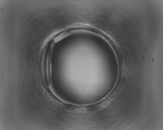 X0000082961363200702011257