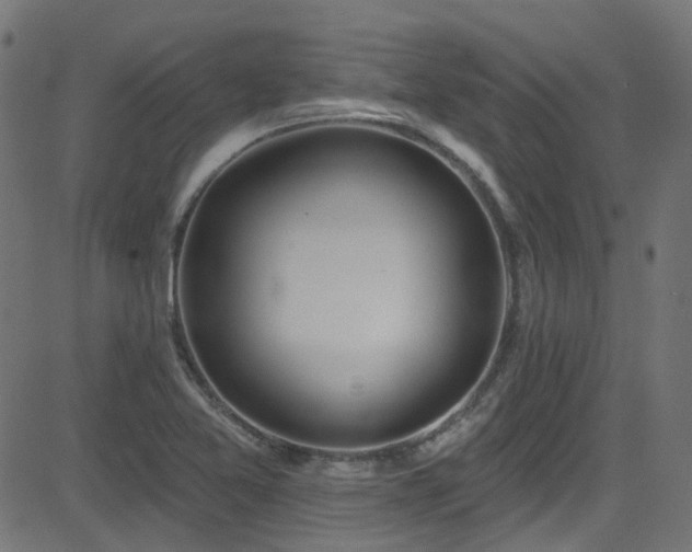 X0000082961365200702011257