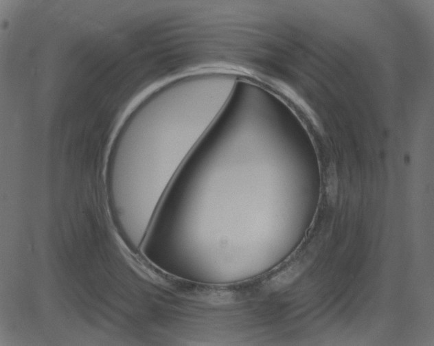 X0000082961372200702011257