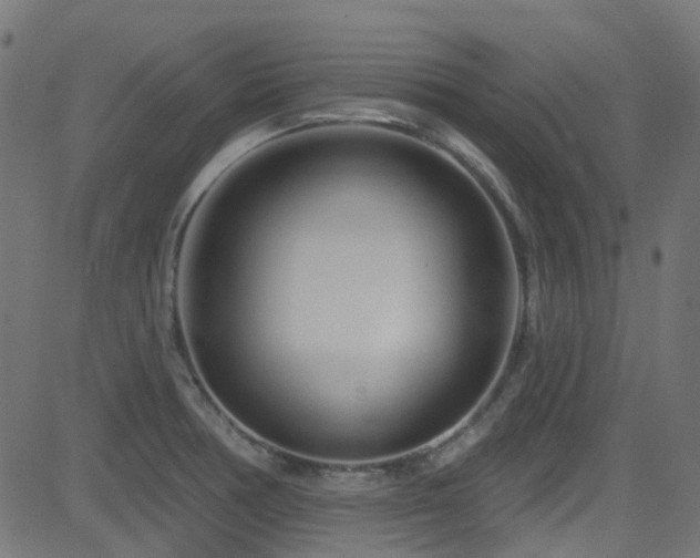 X0000082961378200702011256