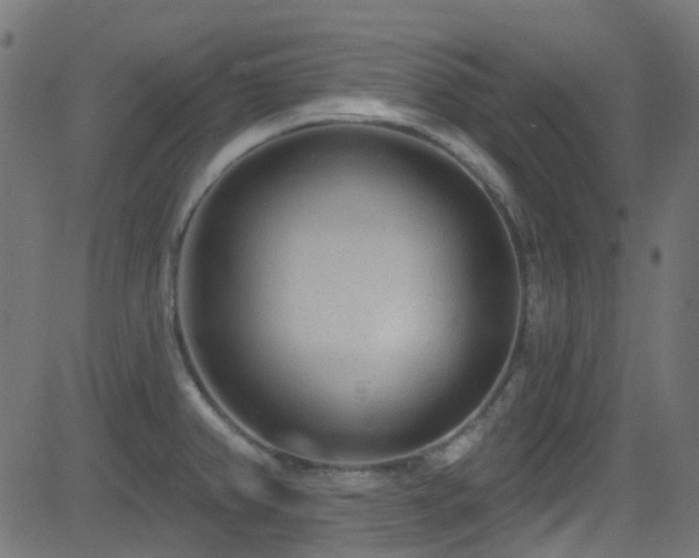 X0000082961382200702011256