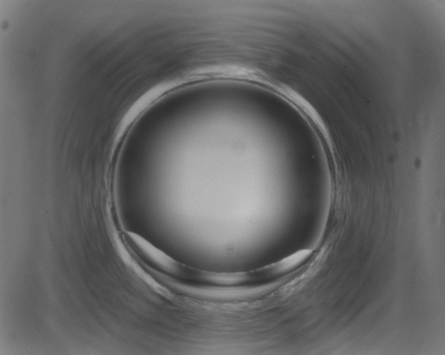 X0000082961389200702011256
