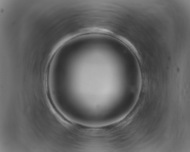 X0000082961391200702011256