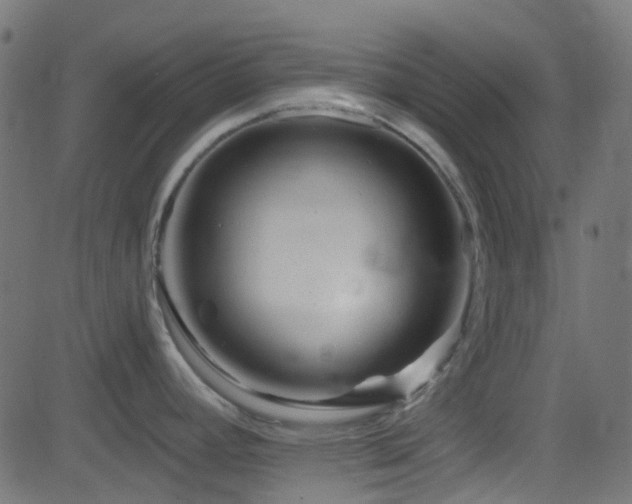X0000082961392200702011256
