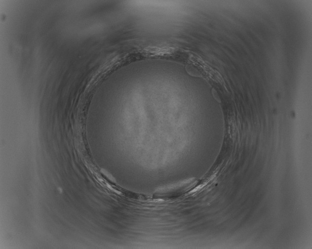X0000082961393200702011255
