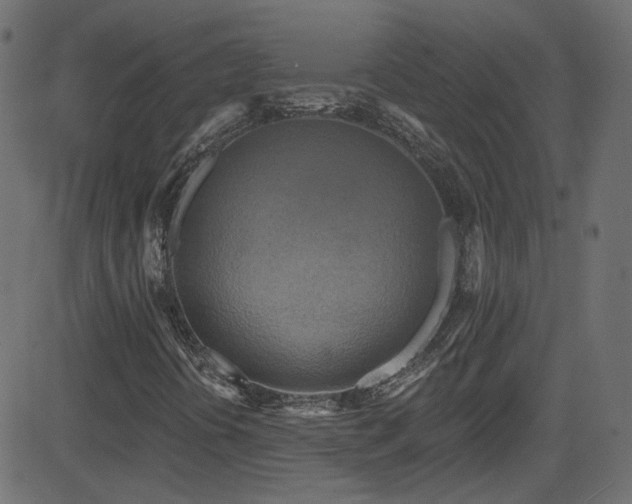 X0000082961394200702011255