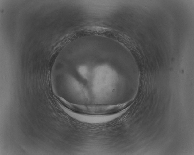 X0000082961397200702011255