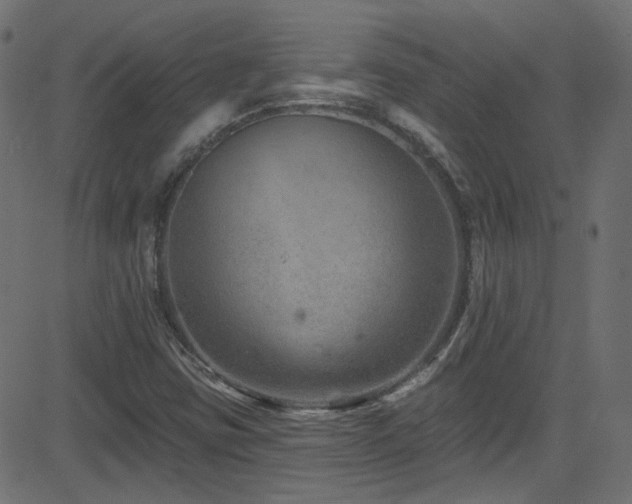 X0000082961403200702011256