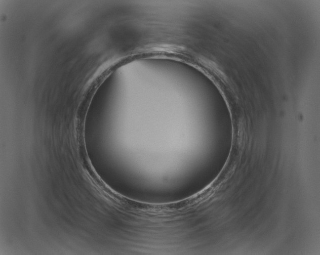 X0000082961404200702011256