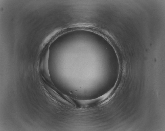 X0000082961406200702011256