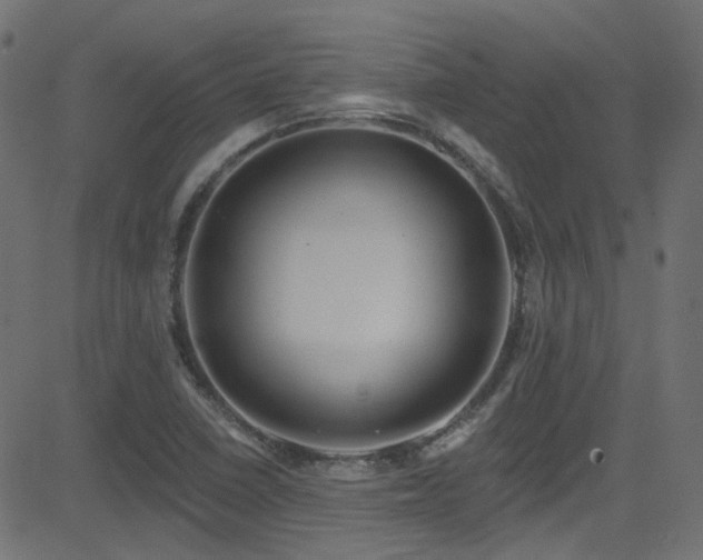 X0000082961410200702011256