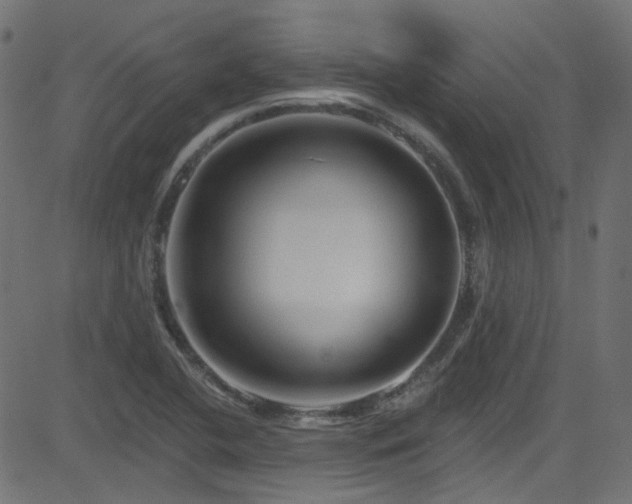 X0000082961412200702011256