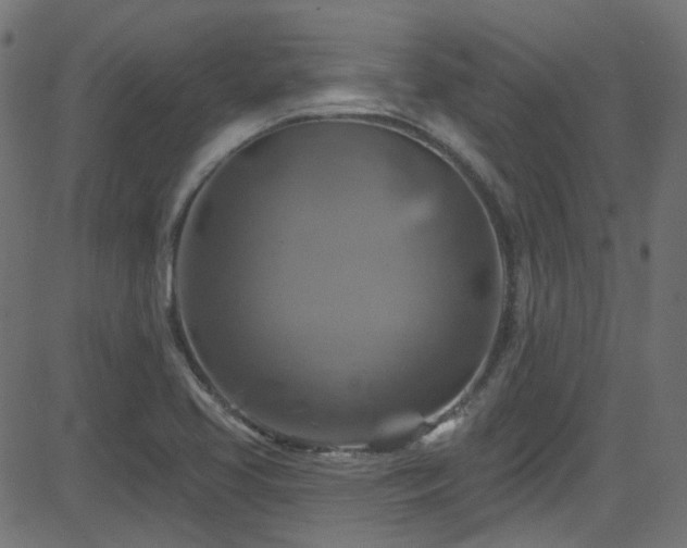 X0000082961413200702011256