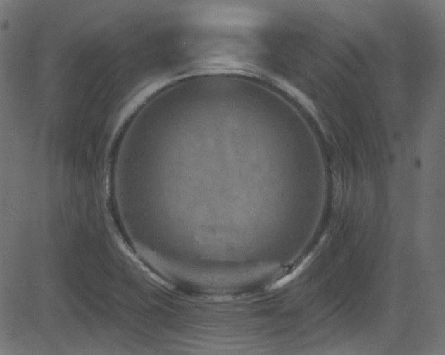 X0000082961415200702011256