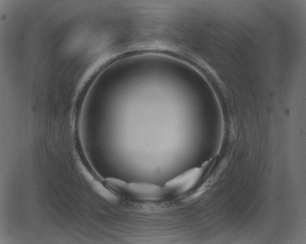 X0000082961416200702011256