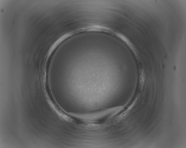 X0000082961418200702011256