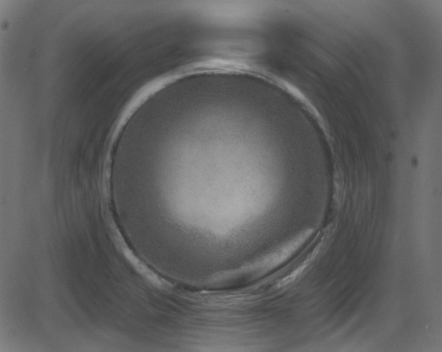 X0000082961421200702011256