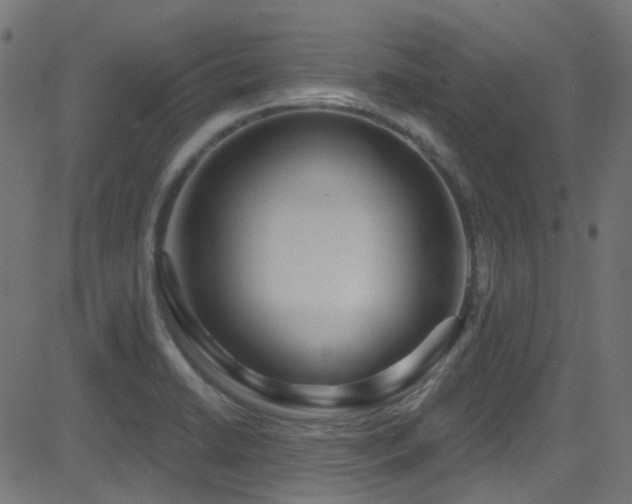 X0000082961422200702011256