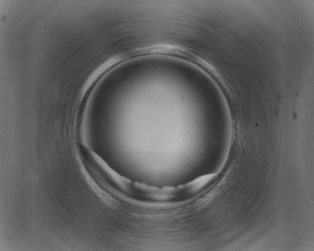 X0000082961426200702011256