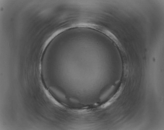 X0000082961428200702011256
