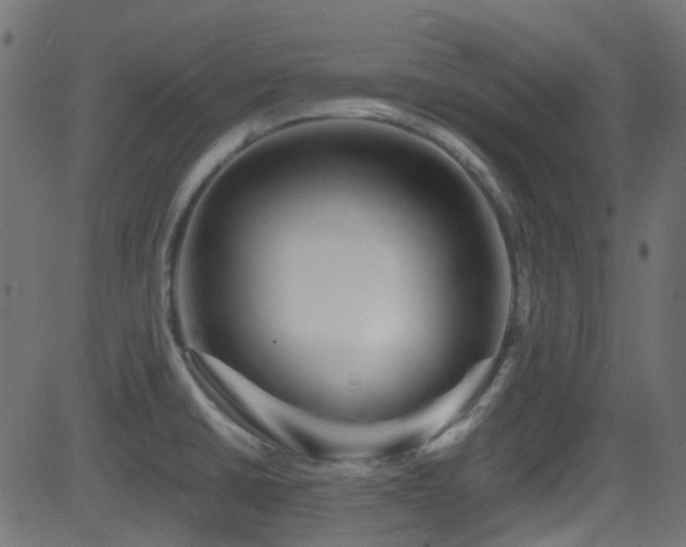 X0000082961430200702011256