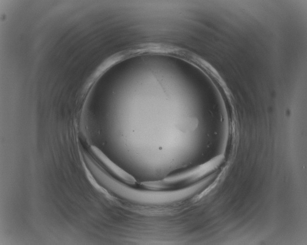 X0000082961433200702011256