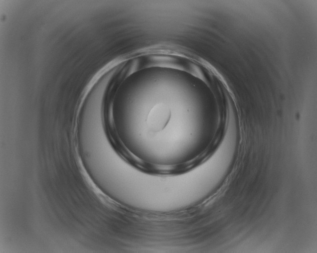 X0000082961434200702011256