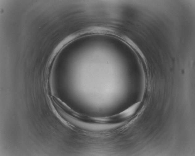 X0000082961437200702011256