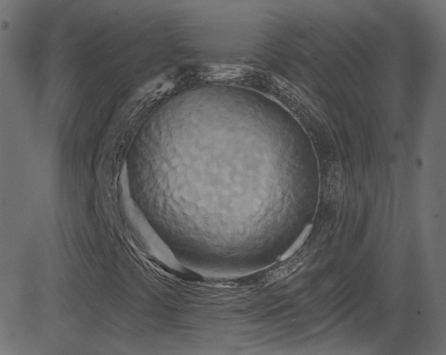 X0000082961441200702011255