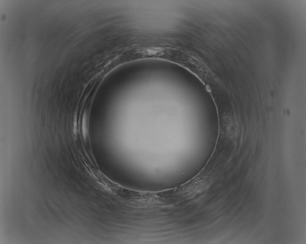 X0000082961442200702011255
