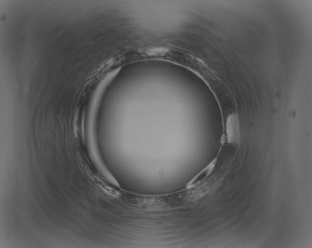 X0000082961443200702011255