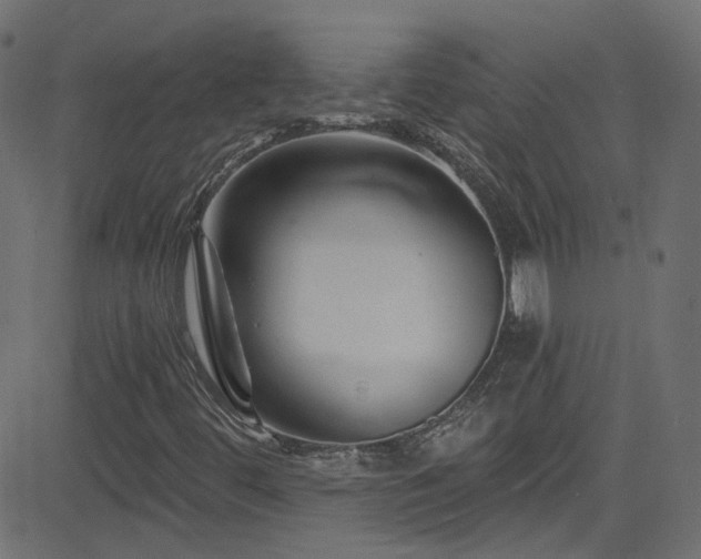 X0000082961444200702011255