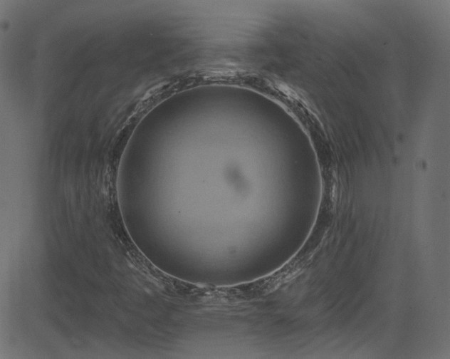 X0000082961445200702011255